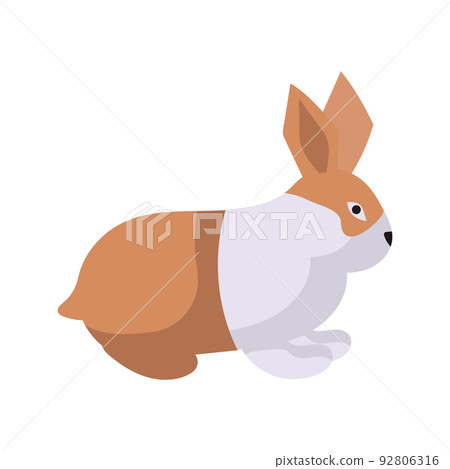 Rabbit or hare cartoon bunny pet. Animal icon and farm breed easter. Rodent isolated white vector illustration and adorable furry animal. Drawing wildlife and zoo rabbit sign fauna 92806316
