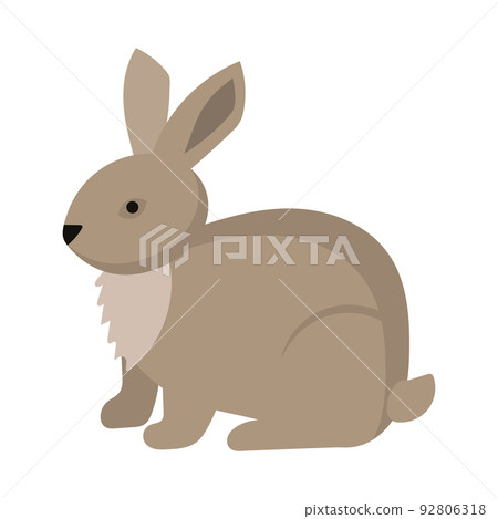 Rabbit or hare cartoon bunny pet. Animal icon and farm breed easter. Rodent isolated white vector illustration and adorable furry animal. Drawing wildlife and zoo rabbit sign fauna 92806318