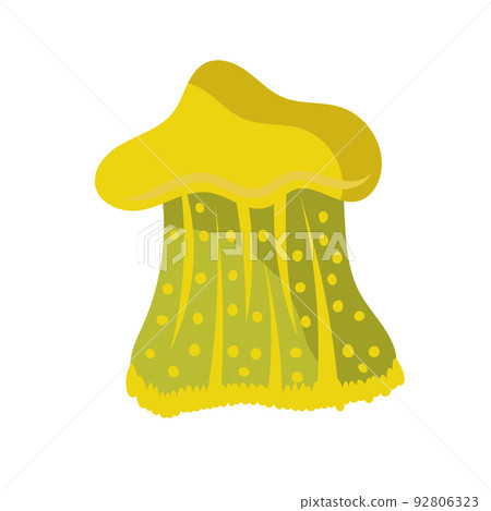Jellyfish cartoon isolated medusa and biology jelly fish. Marine and water life animal vector illustration. Colorful exotic undersea wildlife with tentacle and sea nature icon Jellyfish cartoon isolated medusa and biology jelly fish. Marine and water life animal vector illustration. Colorful exotic undersea wildlife with tentacle and sea nature icon 92806323