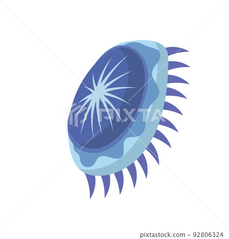 Jellyfish cartoon isolated medusa and biology jelly fish. Marine and water life animal vector illustration. Colorful exotic undersea wildlife with tentacle and sea nature icon 92806324