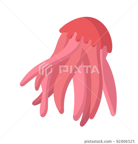 Jellyfish cartoon isolated medusa and biology jelly fish. Marine and water life animal vector illustration. Colorful exotic undersea wildlife with tentacle and sea nature icon Jellyfish cartoon isolated medusa and biology jelly fish. Marine and water life animal vector illustration. Colorful exotic undersea wildlife with tentacle and sea nature icon 92806325
