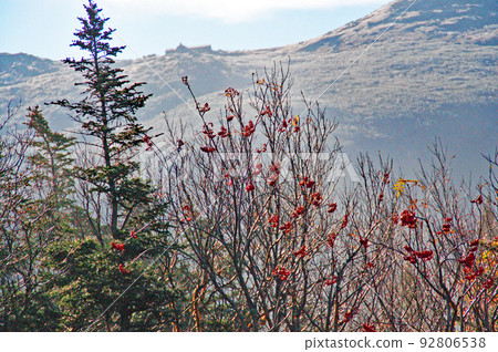 Scenery along the Cog Train in Mount Washington, New Hampshire Scenery along the Cog Train in Mount Washington, New Hampshire 92806538