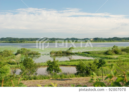宮城縣栗原市初夏，根據拉姆薩爾公約登記的濕地，從出沼/內沼保護區遠眺 92807078