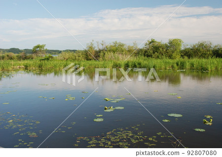 宮城縣栗原市初夏，根據拉姆薩爾公約登記的濕地，從出沼/內沼保護區遠眺 92807080