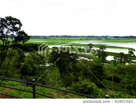 Miyagi Prefecture, Kurihara City, Summer, Ramsar Convention Registered Wetland, Izunuma Miyagi Prefecture, Kurihara City, Summer, Ramsar Convention Registered Wetland, Izunuma 92807083
