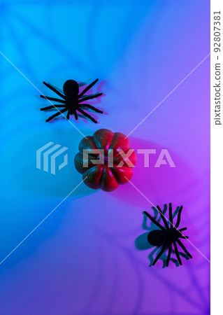 Halloween party. Black night spider, scary spooky pumpkin on night neon helloween background. Happy Halloween concept. Frame. Copy space, Flat lay. 92807381
