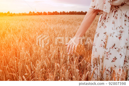 Wheat field woman hand. Young woman hand touching spikelets cereal field in sunset. Agriculture harvest summer sun, food industry, healthy organic concept. 92807398