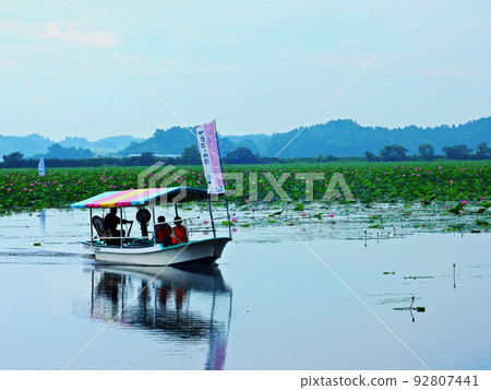 宮城縣栗原市夏季拉姆薩爾濕地出沼蓮花祭遊船 92807441