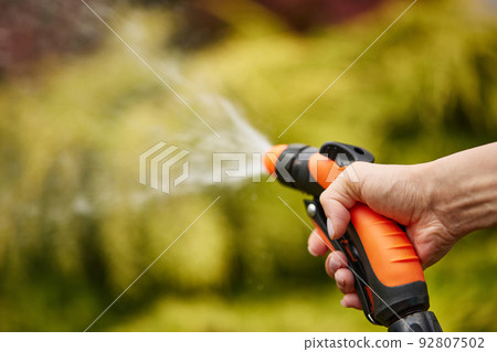 woman watering plant in garden in summer 92807502