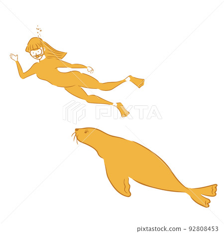 Female diver swimming with seals 92808453