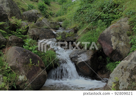 A mountain stream in the forest A mountain stream in the forest 92809021