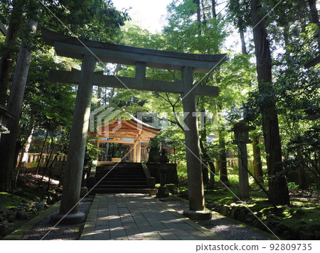 Yahiko Shrine Sesha/Suisha 92809735