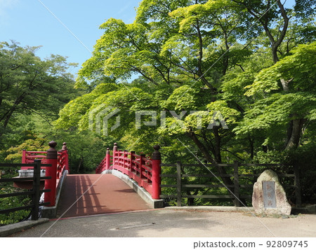 Yahiko Shrine Gaien Yahiko Park Momiji Valley in summer 92809745