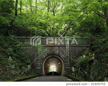 Yahiko Shrine Gaien Tunnel in Yahiko Park 92809750