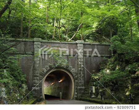Yahiko Shrine Gaien Tunnel in Yahiko Park 92809751