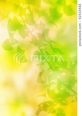 Sunlight filtering through autumn leaves, the silhouette of ginkgo trees overflowing with light 92810488