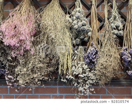 Dried flower Dried flower 92810574