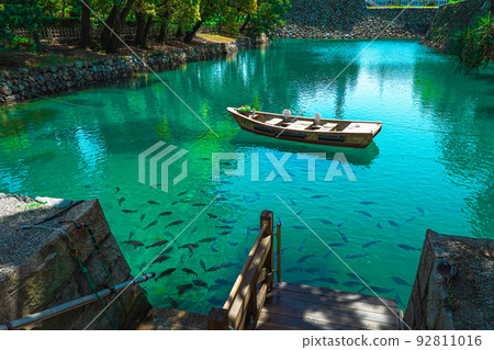 鯛魚游弋的高松城護城河(香川縣高松市玉藻公園) 鯛魚游弋的高松城護城河(香川縣高松市玉藻公園) 92811016