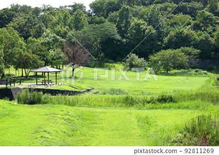 Midsummer park with dazzling greenery 92811269