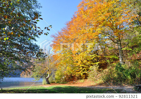 Croatia, World Natural Heritage, Plitvice Lakes National Park Lakeside with autumn leaves 92811321
