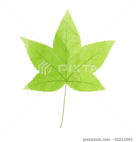 楓葉水彩風格的插圖 楓葉水彩風格的插圖 92812001