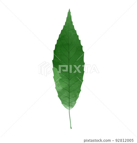 綠葉插圖水彩風格 綠葉插圖水彩風格 92812005