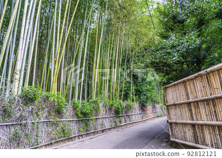 Arashiyama (Sagano) bamboo grove path Ukyo Ward, Kyoto City Arashiyama (Sagano) bamboo grove path Ukyo Ward, Kyoto City 92812121