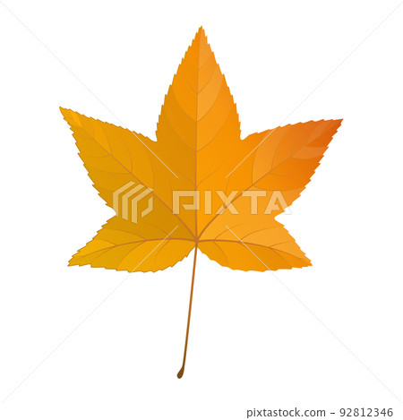 楓葉在秋天的顏色插圖 92812346