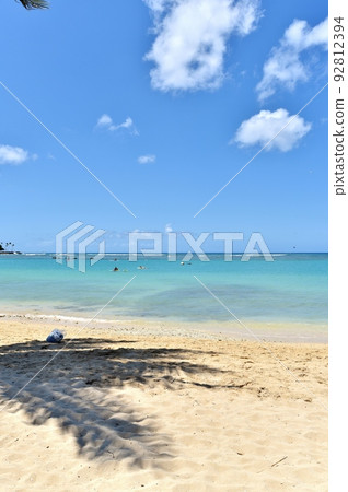 夏威夷的假期 夏威夷的假期 92812394