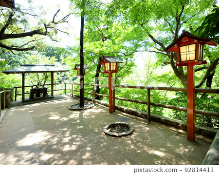 Todoroki Valley Park Tokyo Todoroki Valley Park Tokyo 92814411