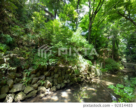 Todoroki Valley 東京 92814483