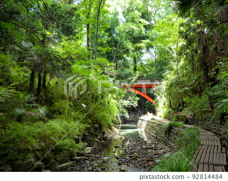 Todoroki Valley Tokyo 92814484