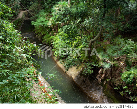 Todoroki Valley 東京 92814485