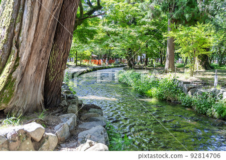 夏季的京都，上賀茂神社（Kamowakeikazuchi Shrine），御物之井川（Omonoi River）的轄區，京都府京都市 92814706