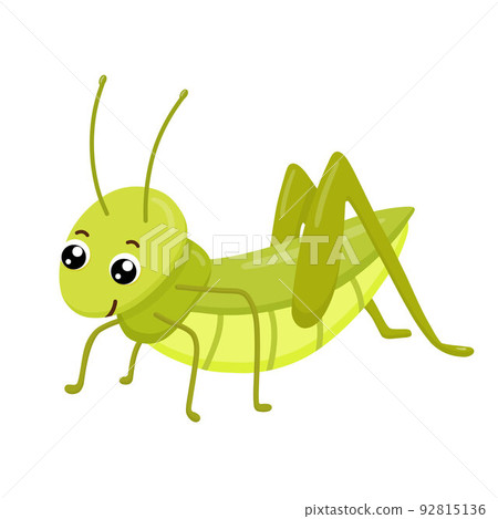Cute smiling grasshopper isolated on white background. Funny insect for children. Flat cartoon vector illustration Cute smiling grasshopper isolated on white background. Funny insect for children. Flat cartoon vector illustration 92815136