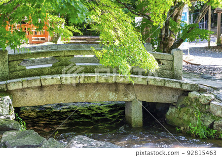 夏季的京都，上賀茂神社（Kamowakeikazuchi Shrine），御物之井川（Omonoi River）的轄區，京都府京都市 92815463
