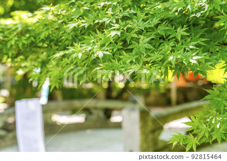 夏季的京都，上賀茂神社（Kamowakeikazuchi Shrine），御物川（Omonoi River）和區域內的綠地，京都府京都市 92815464