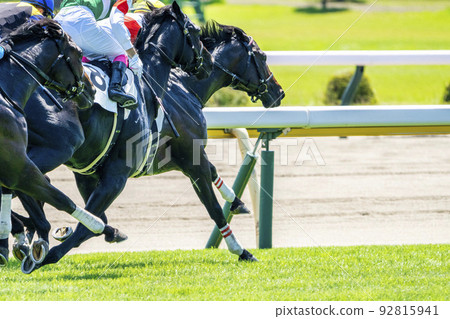 新潟縣新潟市賽馬場的風景，直線奔跑的馬 92815941