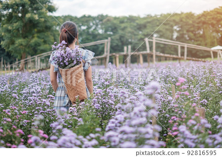 Happy woman tourist in blue dress enjoy in purple Margaret flowers garden. travel, nature, vacation and holiday concept 92816595