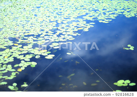 Bandai in the summer 92816628