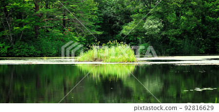 Bandai in the summer 92816629