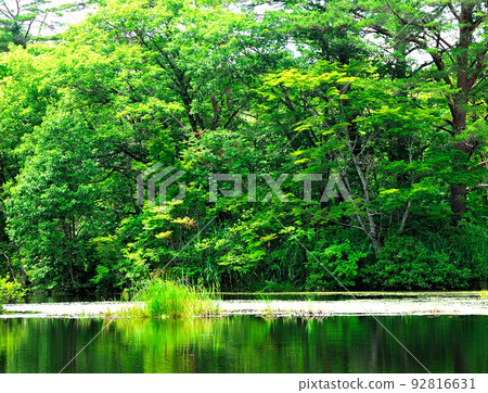 Bandai in the summer 92816631