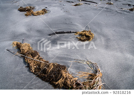 surf flotsam 92818216