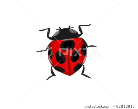 Ladybug 92818915