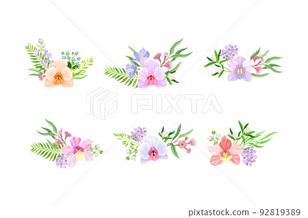 Fragrant Orchid Bloom with Labellum Arranged with Floral Branches Vector Set 92819389