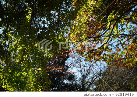 I went to Oyamadera #59 I went to Oyamadera #59 92819419