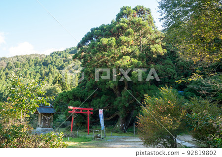 Suigen Park 92819802