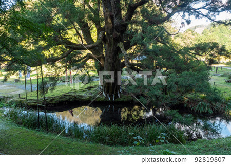 水源公園 92819807