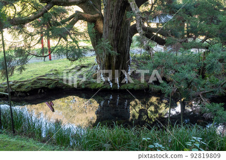 水源公園 水源公園 92819809