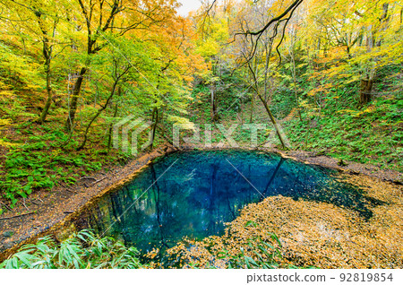 Aomori Prefecture Shirakami-Sanchi Autumn Leaves ~Twelve Lakes and Aoike~ Aomori Prefecture Shirakami-Sanchi Autumn Leaves ~Twelve Lakes and Aoike~ 92819854
